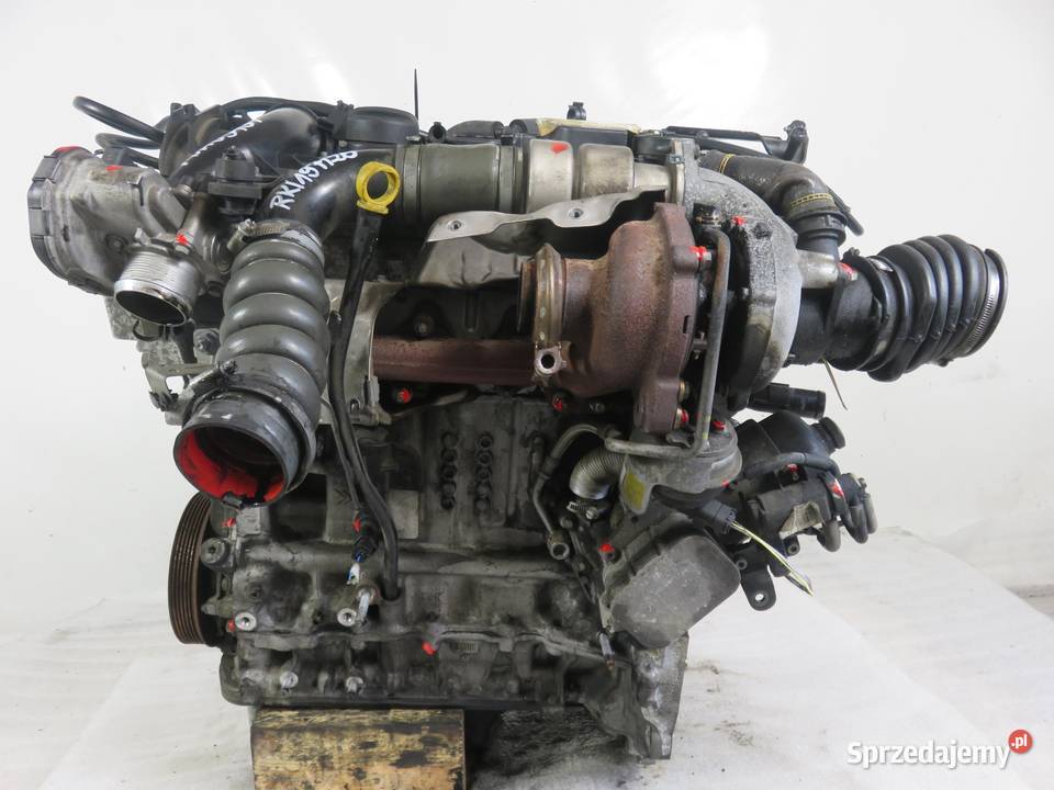 SILNIK FORD FOCUS MK3 III 16 TDCi T1DB 115 osobowe