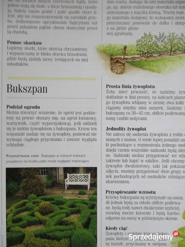 1001 sposobów na piękny ogród ogróddziałkauprawy łódzkie Łódź