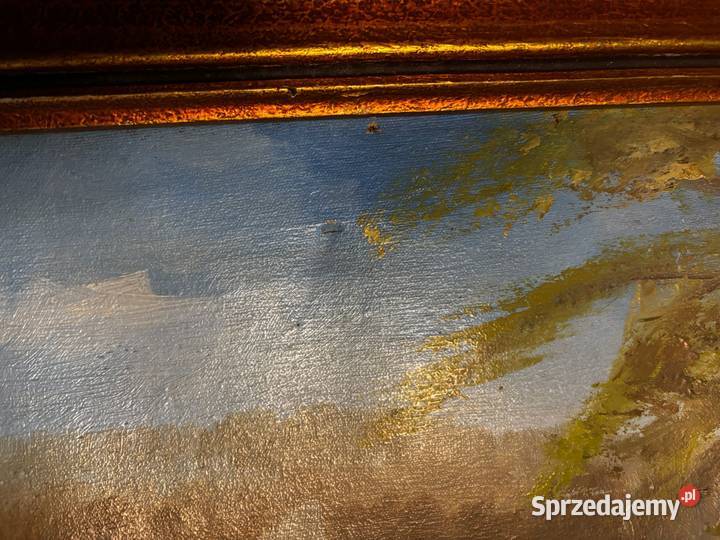 Obraz malowany na płótnie farba olejna duża zachodniopomorskie Szczecin sprzedam