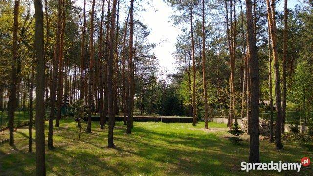 grunt do sprzedaży 1500m Wrzosów Międzyborów sprzedam