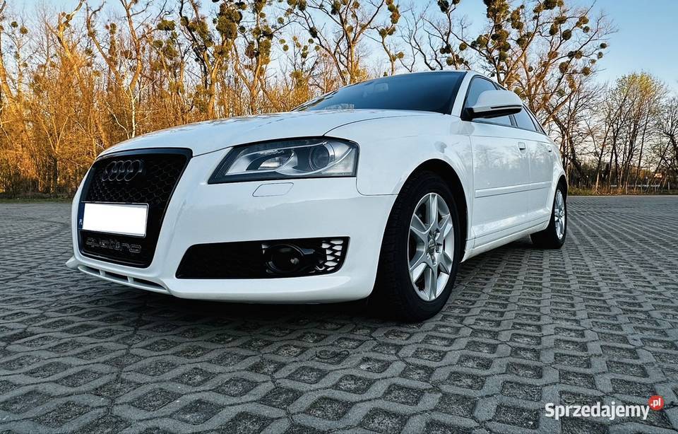Audi A3 8P 20 TDI 170 QUATTRO śląskie Gliwice