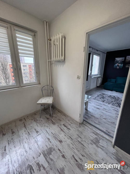 Mieszkanie 308m2 1pokojowe Szczecin