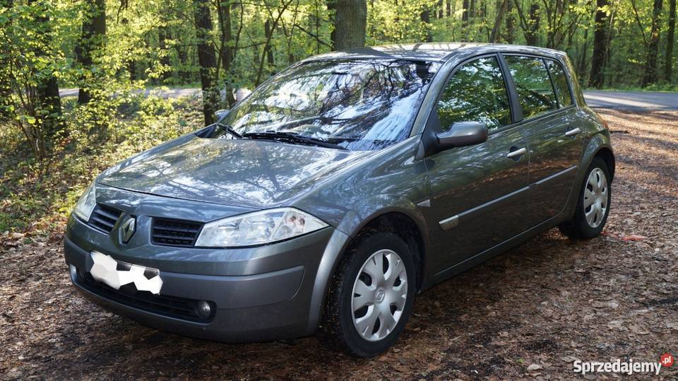 Renault Megane 19 dci Luxe Privilege Samochody osobowe Konin