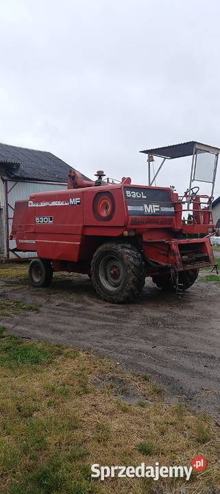 Kombajn zbożowy Massey Ferguson 530 l Zbożowe Kombajny mazowieckie Zakrzew