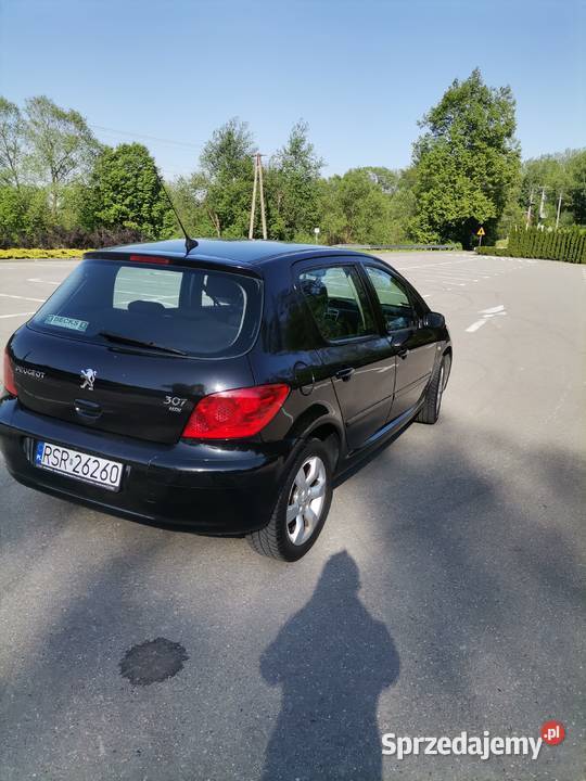 Peugeot 307 16 hdi Brzeziny