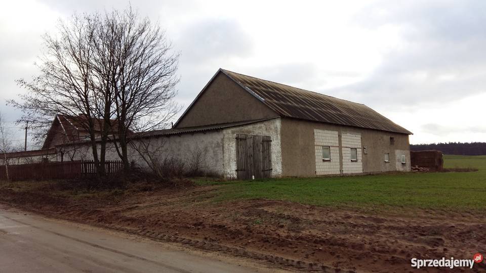 sprzedam gospodarstwo rolne Gierłoż Polska Gierłoż