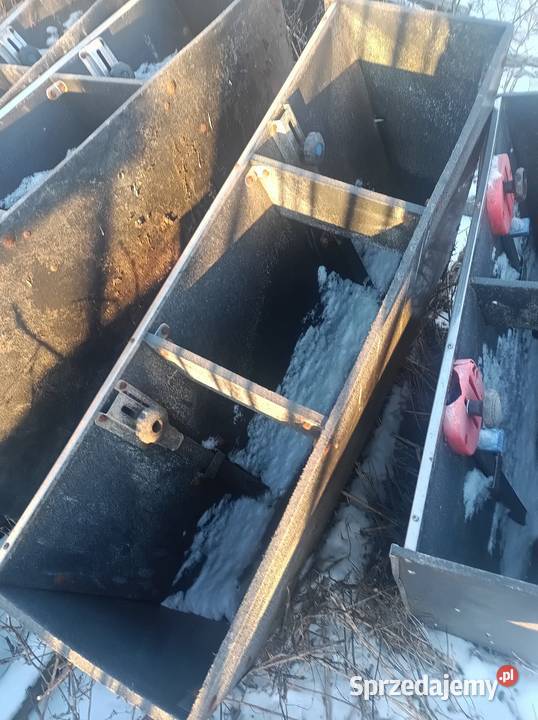 Automaty paszowe Kaliszany