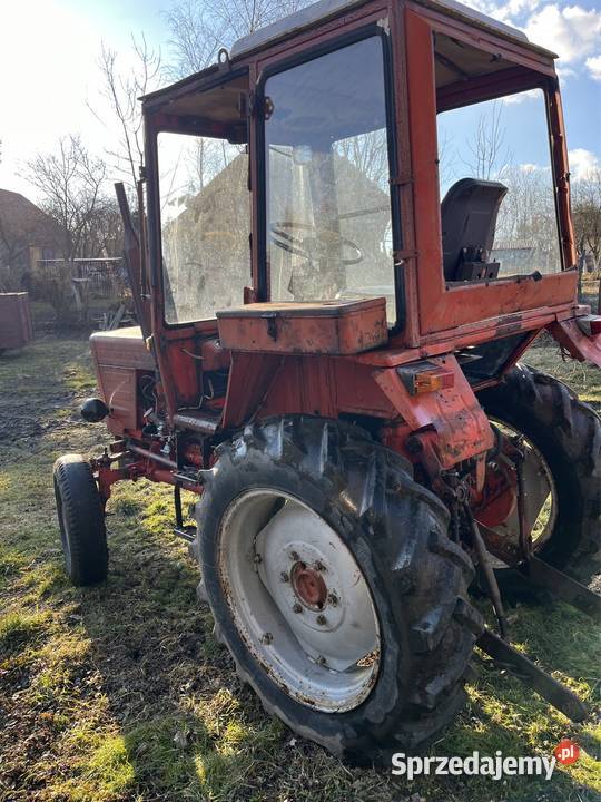 Władymirec t25a Działoszyce