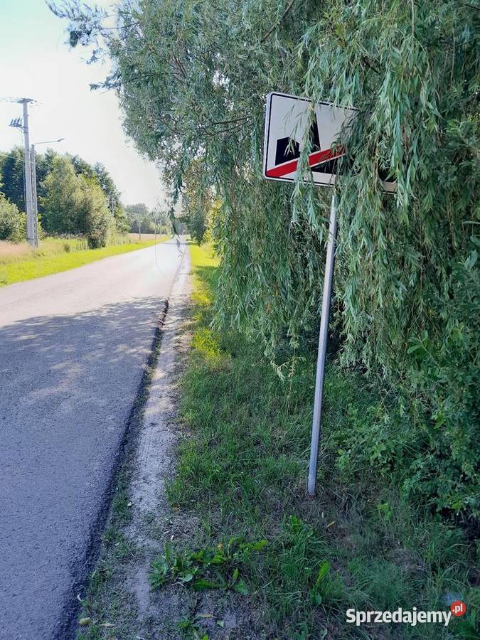 Bieganów Poziomkowa mazowieckie