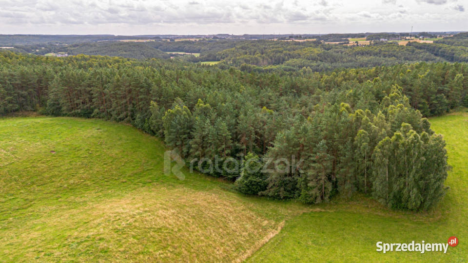 Grunt Milwino 3111m2