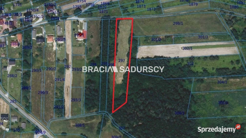 sprzedaży działki 5290m2 Przeginia Narodowa 33m