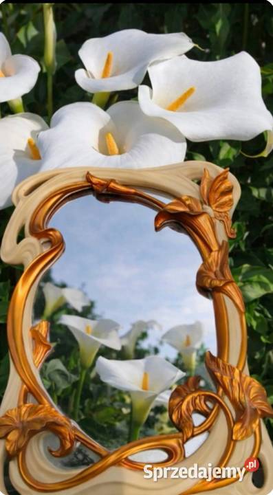 Lustro kwintesencja stylu secesyjnego Pabianice