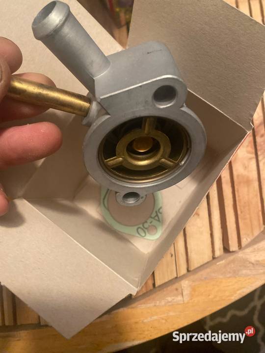 Termostat Fiat Cinquecento 07