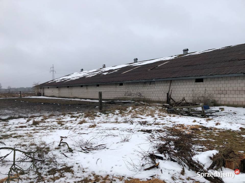 Syndyk sprzeda ziemię rolną i budynek Białogrądy