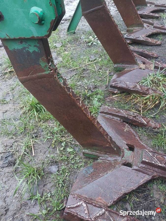 Głębosz nieuszkodzony Piotrków Trybunalski