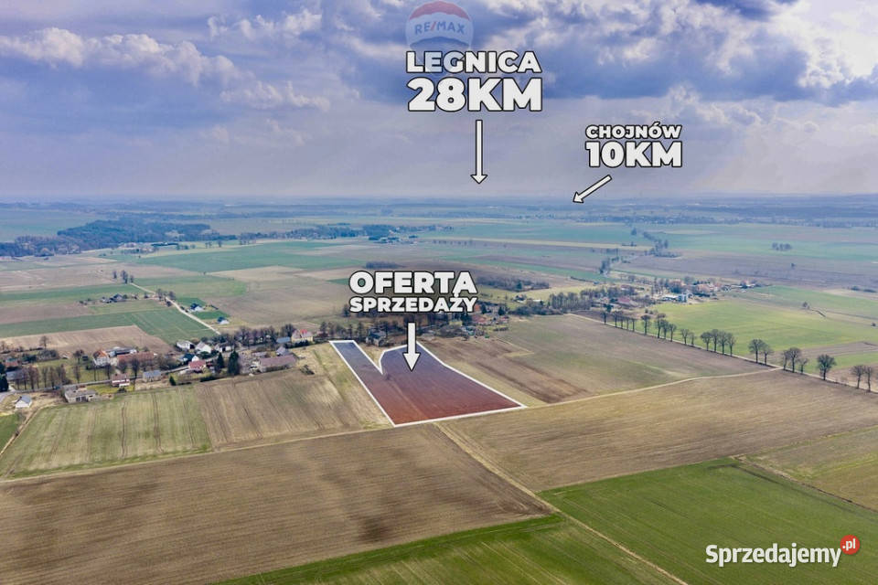 Trzy działki rolne 20100 m opcjonalnie dom 0m Sprzedaż Stary Łom