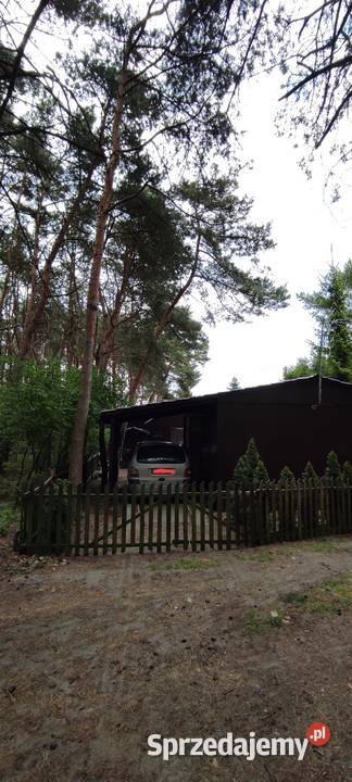 Działka jeziorem Dymaczewo Nowe Własnościowa woda wielkopolskie