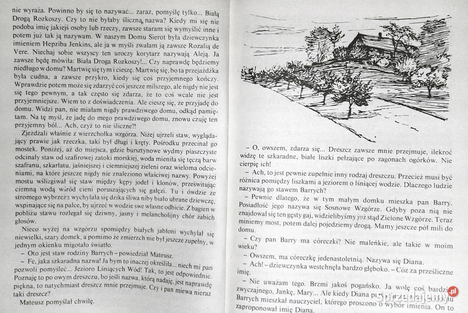 Ania z Zielonego Wzgórza Lucy Maud Montgomery Pozostałe Chełm