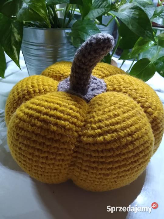Dynia Pumpkin Rękodzieło Gdańsk