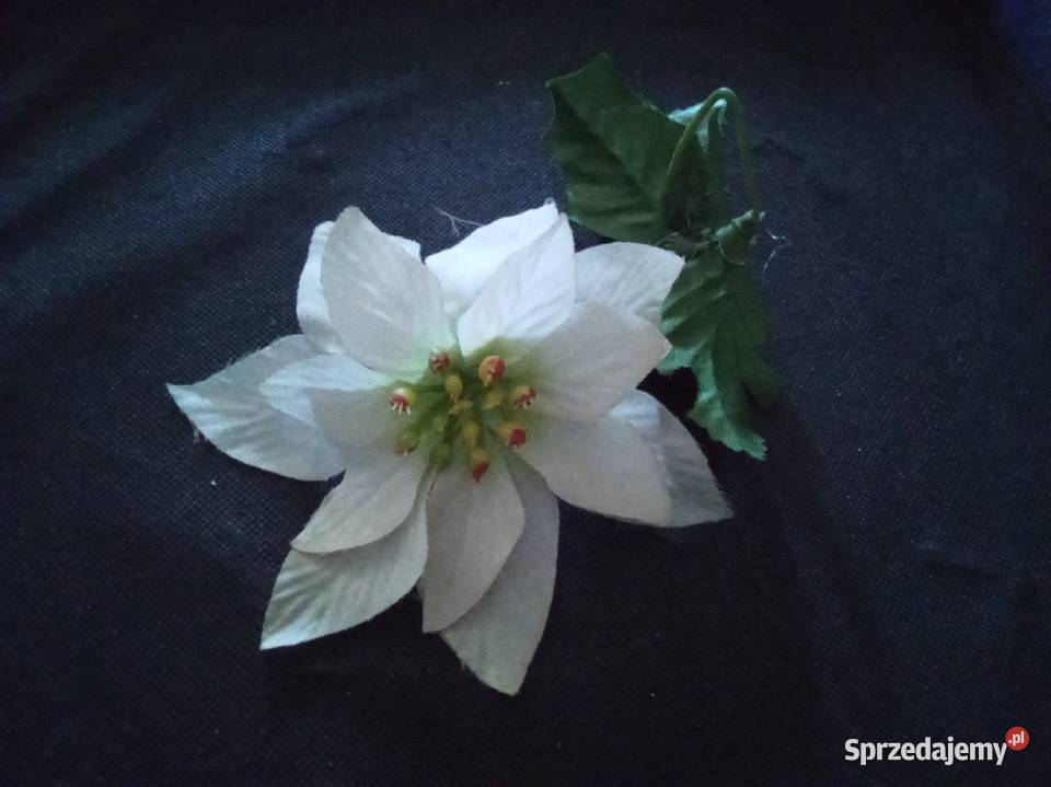 Sztuczna biała gwiazda betlejemska Warszawa