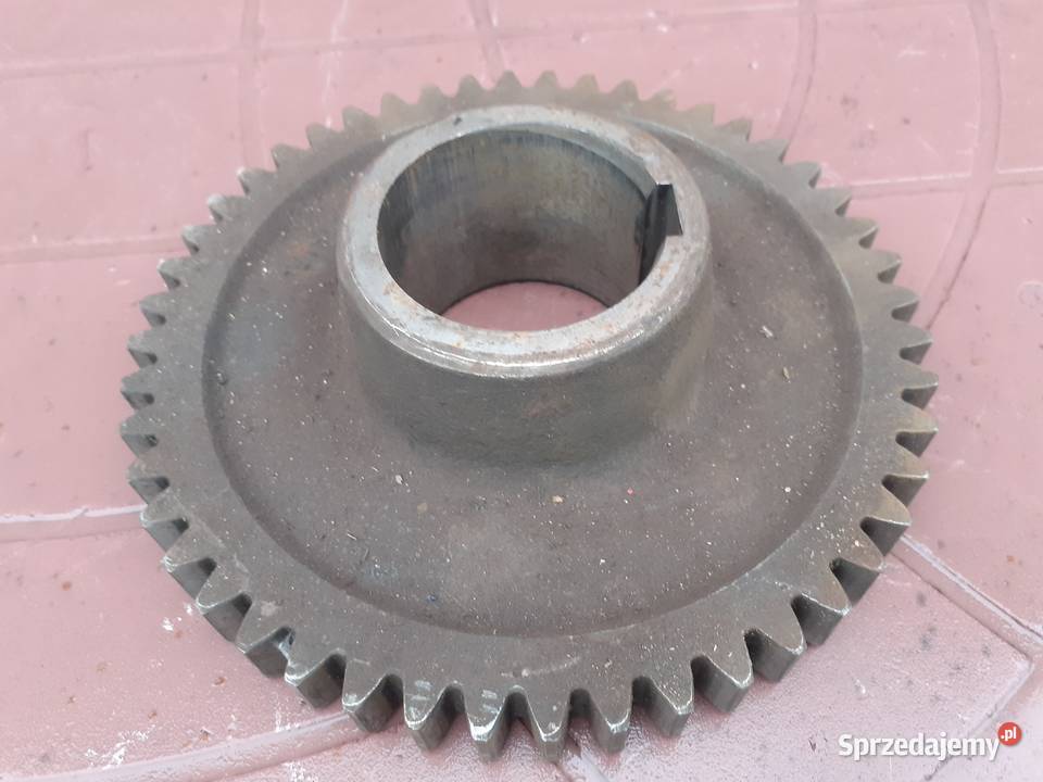 koło stałego zazębienia 50819210 c360 obrotów Siemiatycze