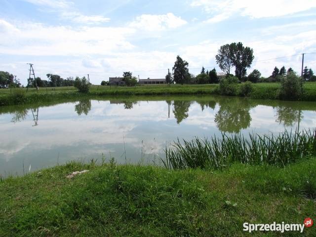 działka ze stawem Płońska 60 Wawa mazowieckie Płońsk