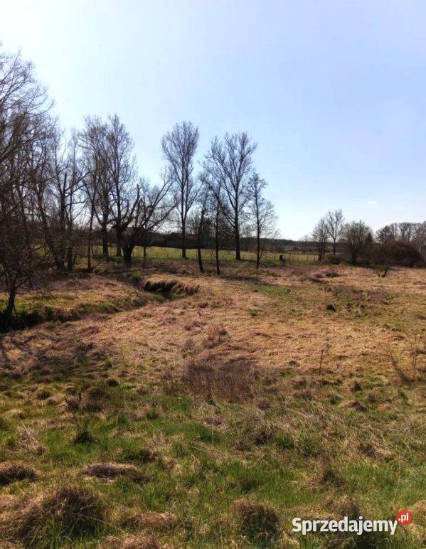 Działka z linią brzegową 130 m Brzeźnica