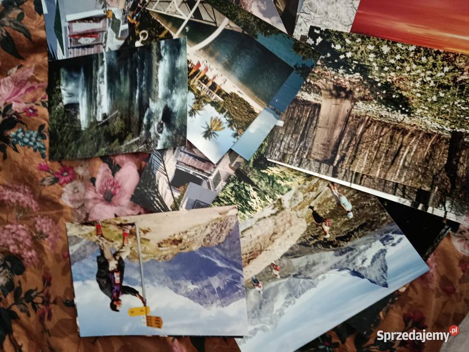 Zdjęcia a4a3 90 natura rzeczy figury zwierzęta Choszczno