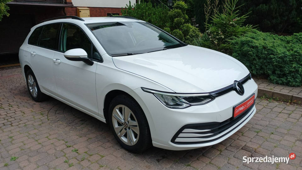 Volkswagen Golf DSG15 Mhev eTSI EVO Salon Pełen ogranicznik prędkości Golf pomorskie Gdańsk