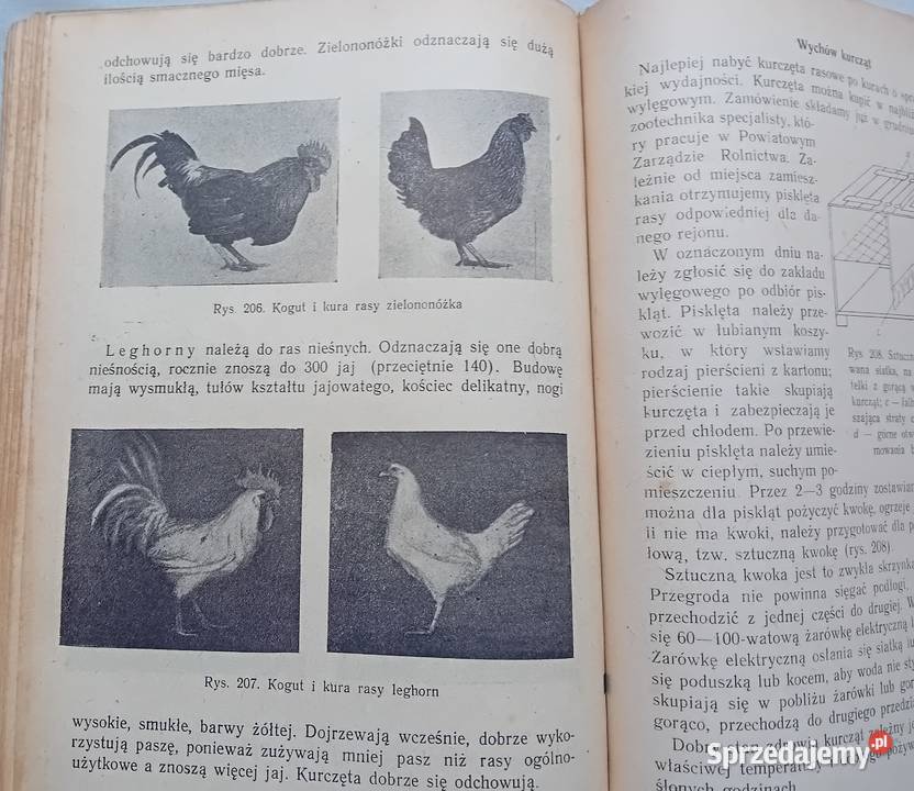 Przewodnik działkowca PWRiL 1954 r Wydanie I Antykwariat Koźminek