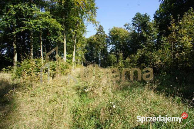 Działki jeziorem Dobra Nowogardzka 25m zachodniopomorskie sprzedam
