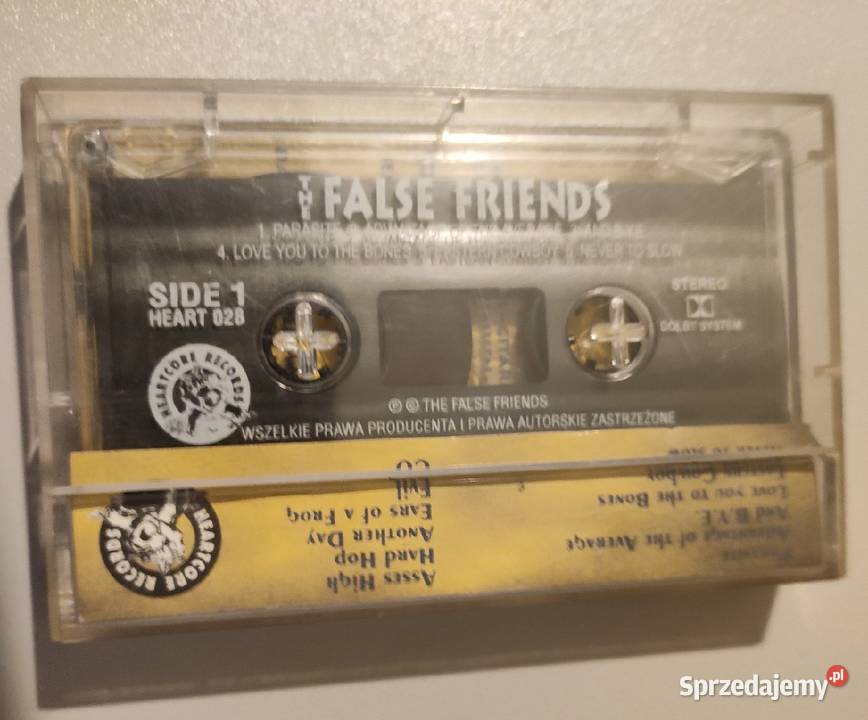 The False Friends Heartcore rec Punk folk MC Rybnik