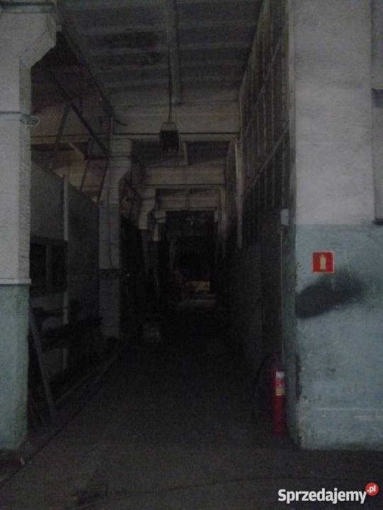 Zakład hale produkcyjnemagazynowe Szczytna