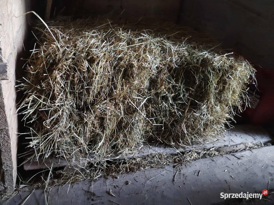Sprzedam siano Trawy, słoma Korczyn