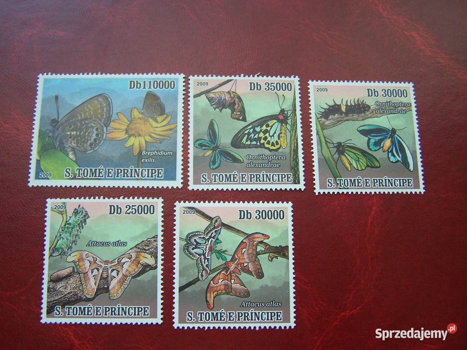 Wyspy Św Tomasza 2009 MNH Fauna Ewolucja Motyla Tychy