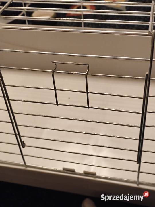Klatka morskiej świnki albo królika w stanie mazowieckie Warszawa