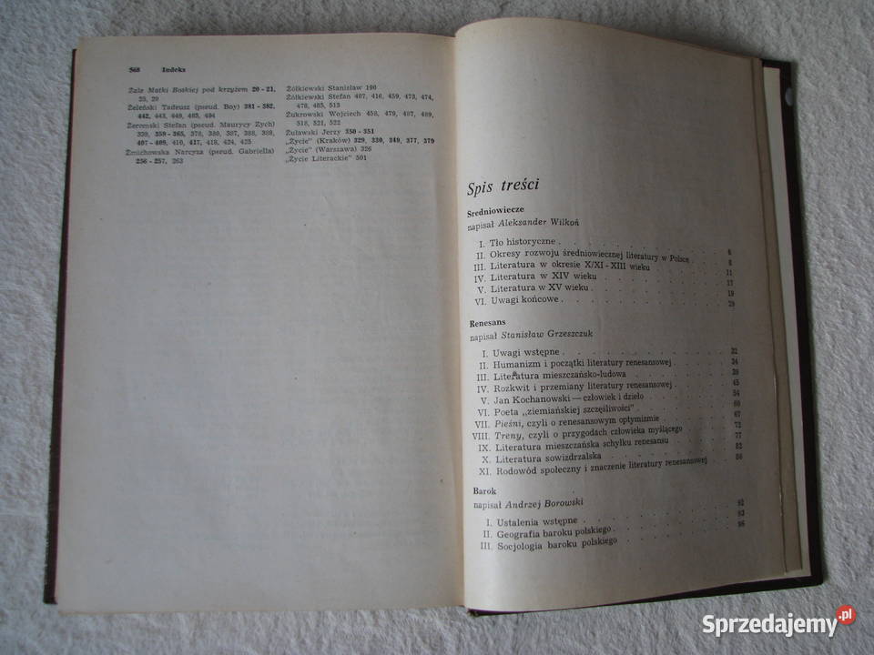 Historia literatury polskiej w zarysie M Stępień Brzegi