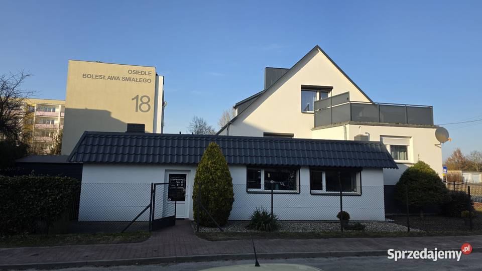 Dom dwumieszkaniowy z dwoma lokalami usługowym Poznań