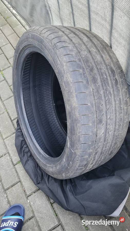 Dębica 24540 r18 Pniewy