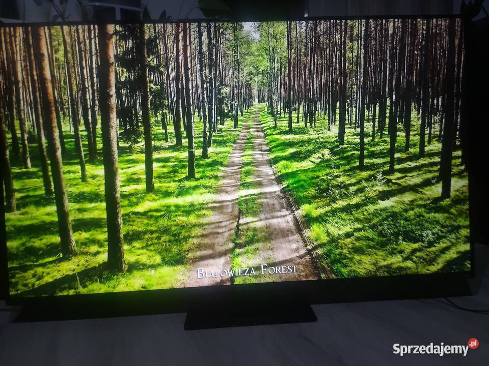 SPRZEDAM TV LG49NANO816NA 4K HDR UHD DVB T2hevc Połczyn-Zdrój