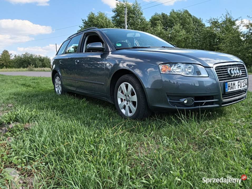 Audi a4 b7 1,9 TDI