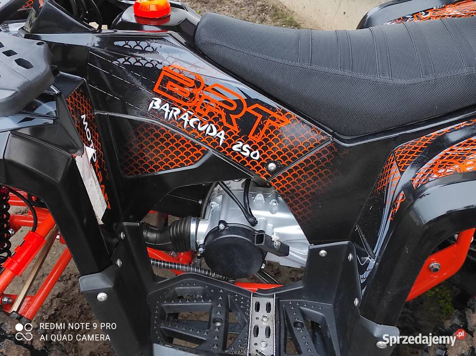 Quad 250CC Bertta stan nowykoła 10 przebieg 404 250cm3 kujawsko-pomorskie Piotrków Kujawski