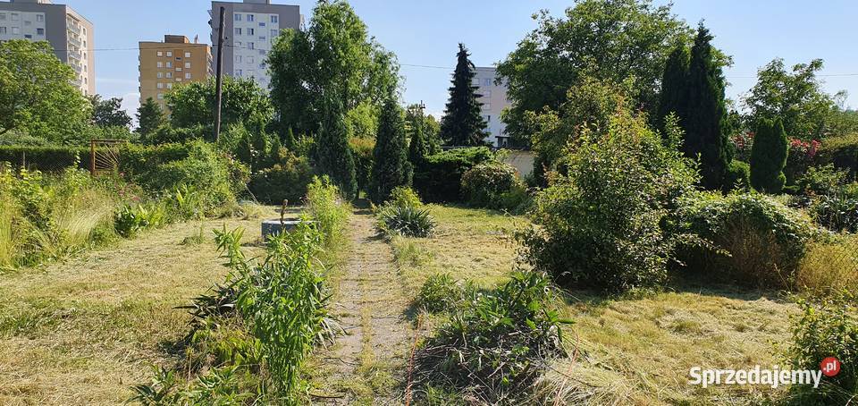 Ogródek działkowy ROD 440m2 Chorzów sprzedam