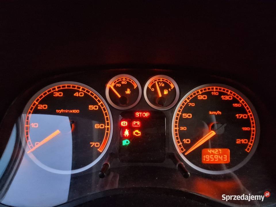 Peugeot 307 20 16v benzyna 4/5 Peugeot mazowieckie Warszawa