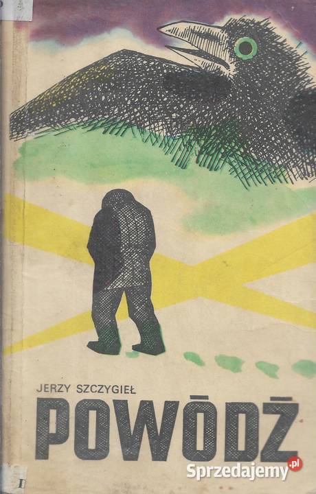 Powódź J Szczygieł lubelskie Puławy