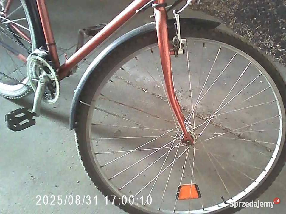 rower męski koła 28 Złotniki Kujawskie sprzedam