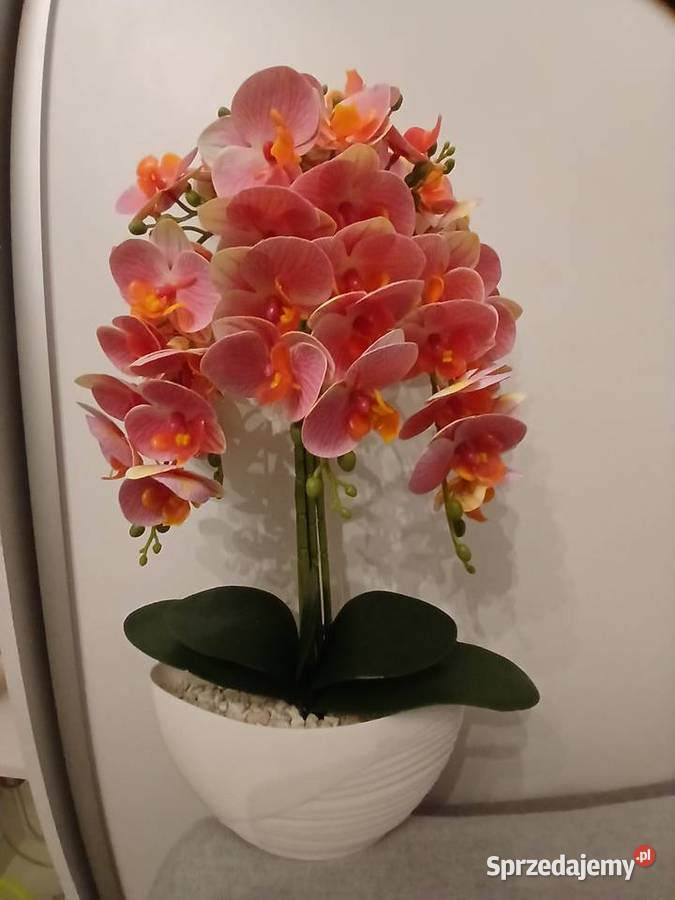 Storczyki sztuczne Kompozycje kwiatowe Dekoracje i ozdoby Zielona Góra