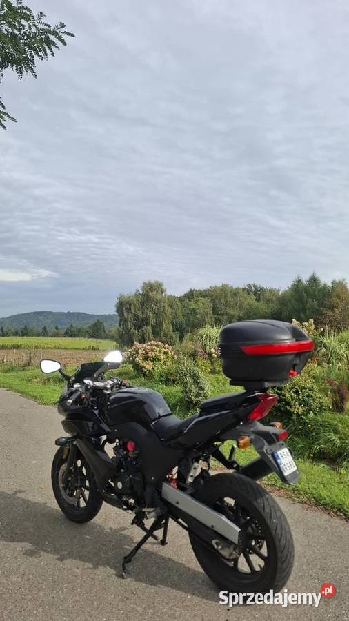 Zip pro 50125 Frysztak