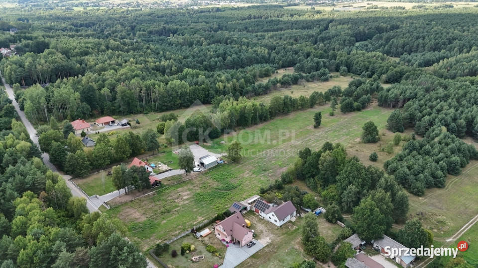 Działka na sprzedaż 910 m2 Gałęzice gm Piekoszów Sprzedaż