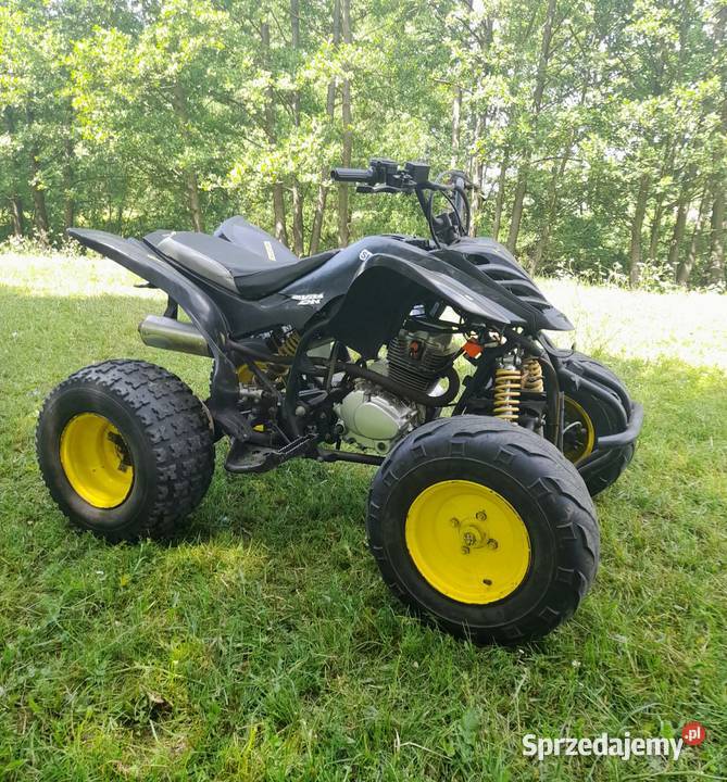 Quad 250 Przasnysz